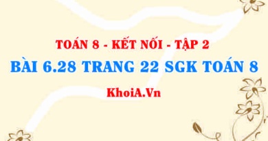 Bài 6.28 trang 22 Toán 8 Kết nối tri thức Tập 2